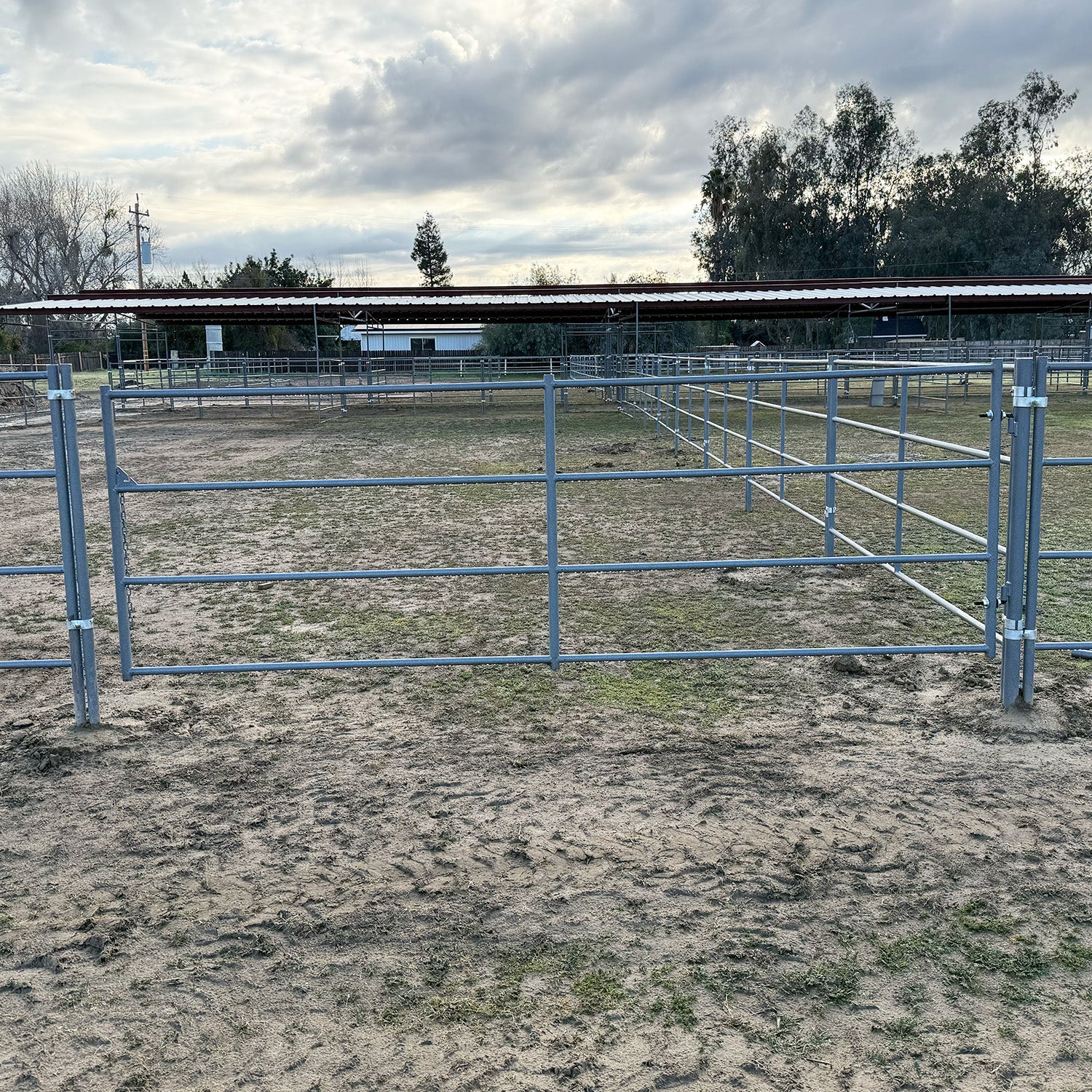 Standard Arena Swing Gate 4Ft X 12Ft (4-Rail) 14 Gauge - 0