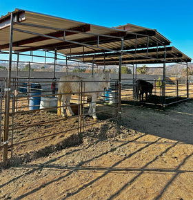 Mare Motel with (4) 12x12 Stalls and 12ft Breezeway 5-Rail (WOOD INSERTABLE PANELS) - 0