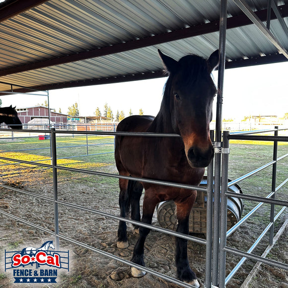 The MEGA MOTEL - 8-Stall Mare Motel - 48x82 Stalls - 15ft Breezeway
