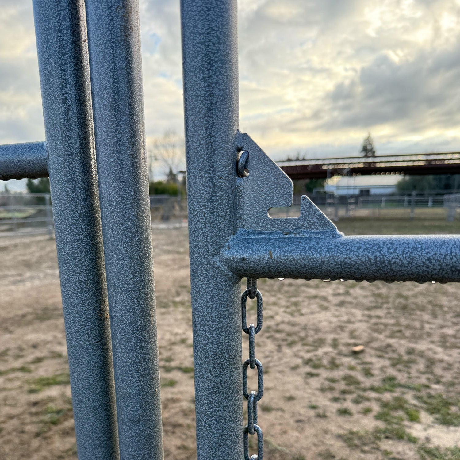 Standard Arena Swing Gate 4Ft X 12Ft (5-Rail) 14 Gauge